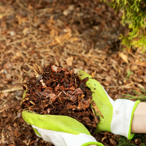 Mulching